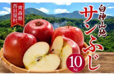 西目屋村産りんご サンふじ 約10kg 果物 林檎 リンゴ ブナの里白神公社 甘い ジューシー シャキシャキ 産地直送 送料無料 青森県 西目屋村