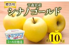 贈答用 シナノゴールド 約10kg りんご リンゴ 青森 林檎 果物 フルーツ くだもの お取り寄せ 贈り物 プレゼント 産地直送 送料無料 青森県 西目屋村 お届け：5月下旬から随時お届け