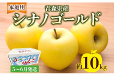家庭用 シナノゴールド 約10kg りんご リンゴ 青森 林檎 果物 フルーツ くだもの お取り寄せ 贈り物 プレゼント 産地直送 送料無料 青森県 西目屋村 お届け：5月下旬から随時お届け