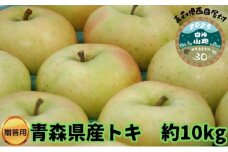 【青森県産りんご】贈答用トキ 約10kg