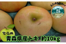 【青森県産りんご】家庭用トキ 約10kg