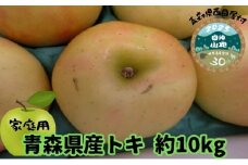 【青森県産りんご】家庭用トキ 約10kg