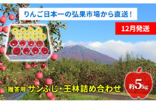【12月発送】贈答用 サンふじ・王林詰め合わせ 約5kg【青森りんご】
