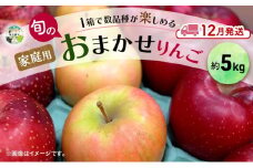 りんご 【 12月発送 】 家庭用 旬のりんご 品種おまかせ 約 5kg 2品種～4品種