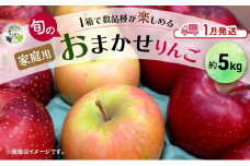 りんご 【 1月発送 】 家庭用 旬のりんご 品種おまかせ 約 5kg 2品種～4品種