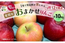 りんご 【 12月発送 】 家庭用 旬のりんご 品種おまかせ 約 10kg 2種類～4種類