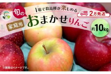 りんご 【 2月発送 】 家庭用 旬のりんご 品種おまかせ 約 10kg 2種類～4種類