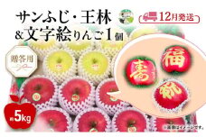 りんご 【 12月発送 】 贈答用 サンふじ・王林 ＋ 文字絵入りりんご1個 約 5kg