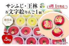 りんご 【 1月発送 】 贈答用 サンふじ・王林 ＋ 文字絵入りりんご1個 約 5kg