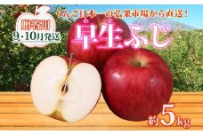 【9月・10月発送】贈答用 早生ふじ 約5kg【西目屋村産・青森りんご】 りんご 林檎 リンゴ 果物 フルーツ くだもの 旬 青森県産 お取り寄せ 詰め合わせ セット 常温 産地直送 送料無料 青森県 西目屋村