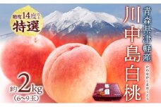 桃 川中島白桃 約2kg 6～9玉 特選 8月下旬～9月上旬配送 先行予約 白桃 糖度14度以上 もも 果実 フルーツ デザート 国産 青森県産 甘い 果樹 贅沢 お取り寄せ 産地直送 ギフト 贈答 青森県 西目屋村