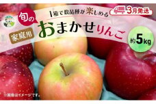 りんご 【3月発送】 家庭用 旬のりんご 品種おまかせ 約 5kg 2品種～4品種