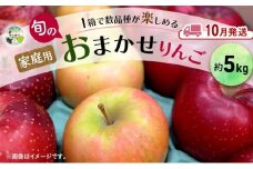 【10月発送】 家庭用 旬のりんご 品種おまかせ 約 5kg 2品種～4品種 りんご リンゴ 林檎 アップル おまかせ ランダム 旬 青森県産 青森県 西目屋村