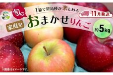 【11月発送】 家庭用 旬のりんご 品種おまかせ 約 5kg 2品種～4品種 りんご リンゴ 林檎 アップル おまかせ ランダム 旬 青森県産 青森県 西目屋村