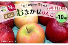 【11月発送】 家庭用 旬のりんご 品種おまかせ 約 10kg 2品種～4品種 りんご リンゴ 林檎 アップル おまかせ ランダム 旬 青森県産 青森県 西目屋村
