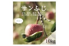 ＜家庭用＞藤崎町産りんご　サンふじ約10kg(26～40個)【1031229】