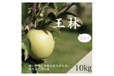＜家庭用＞藤崎町産りんご　王林約10kg(24～40個)【1031231】