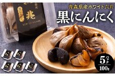 黒にんにく100g×5 パック【1034800】