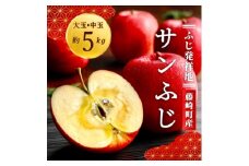サンふじ 大玉・中玉 約5kg ご家庭用 ふじ発祥地の元祖ふじりんご【1082565】