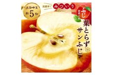 葉とらずサンふじ 大玉・中玉 約5kg ご家庭用【1082566】