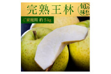 王林 大玉・中玉 約5kg ご家庭用 青森りんご【1082567】