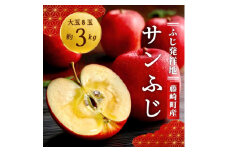サンふじ 大玉 8個(約3kg) ご家庭用 ふじ発祥地の元祖ふじりんご【1095477】