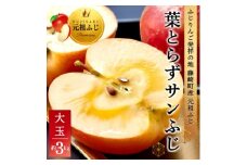 葉とらずサンふじ 大玉 約3kg(6～8玉) ご家庭用りんご(訳あり) 青森県産リンゴ 青森林檎【1102373】