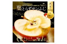 葉とらずサンふじ 大玉 約3kg(6～8玉) ご家庭用りんご(訳あり) 青森県産リンゴ 青森林檎【1102373】