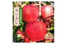 青森県藤崎町産りんご　完熟サンふじ　家庭用　約5kg【1110657】