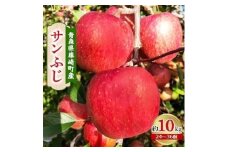 青森県藤崎町産りんご　完熟サンふじ　家庭用　約10kg【1110662】