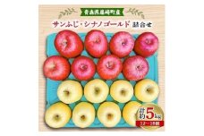 完熟サンふじ・シナノゴールド詰合せ　青森県藤崎町産りんご　家庭用　計約5kg【1123766】