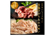 津軽豚の旨塩サガリ&ホルモンセット (850g)保存料・化学調味料無添加【1137990】
