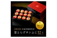 厳選・高級 葉とらずサンふじ 特A 12玉 元祖ふじりんご 青森林檎【1221715】