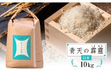 青森県産　青天の霹靂　白米10kg【1250841】