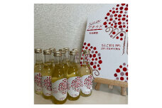 青森県産りんご　ふじりんご果汁20%入り飲料(炭酸ガス入り)　プチラド　10本セット【1253038】