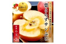 葉とらずサンふじ 厳選 小玉 約3kg ご家庭用りんご(訳あり) 青森県産リンゴ 青森林檎【1278838】