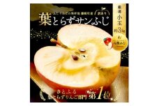 葉とらずサンふじ 厳選 小玉 約3kg ご家庭用りんご(訳あり) 青森県産リンゴ 青森林檎【1278838】