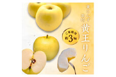 [先行受付] 青森県産 黄王 ご家庭用 約3kg 青森りんご【1147282】