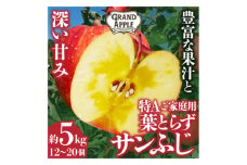 皮ごとバリッ!葉とらずサンふじ特A　約5kg(12～20個入り)【1342135】