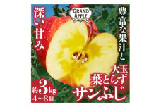 ＜大玉指定＞葉とらずサンふじ　特Aご家庭用3kg【1344023】