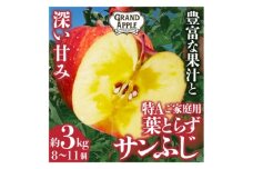 皮ごとバリッ!葉とらずサンふじ　特Aご家庭用 約3kg【1353849】