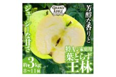 王林　特A　ご家庭用　約3kg【1357236】