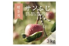 ＜贈答用＞藤崎町産りんご　サンふじ約3kg(7～10個)【1361566】