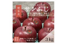 ＜産地直送＞サンふじ　贈答用約3kg(7～10個)【1361566】