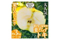 皮ごとバリッ!　トキ　特A　約3キロ【1409828】