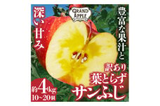 産地直送　葉とらずサンふじ　訳あり　約4kg【1428763】