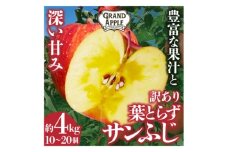 産地直送　葉とらずサンふじ　訳あり　約4kg【1428763】
