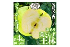 「王林」訳あり約4kg【1442055】