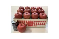 落ちないりんごの高級品 サンふじ 約3kg【1445956】