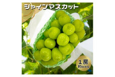 シャインマスカット1房　約600g化粧箱入【1454124】